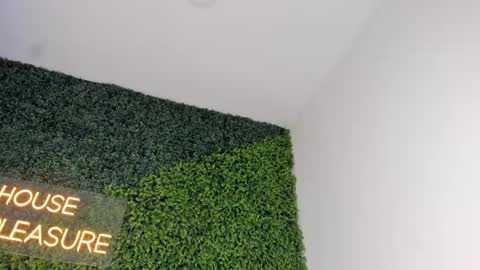 Emmiily online show from 02/24/25, 11:19