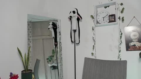 Snapshot of emperatriiiz chatting on 01/30/25, 11:13 Emperatriz online show from 01/30/25, 11:13