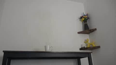 Snapshot of english_rose__ chatting on 02/12/25, 11:07 Rosie online show from 02/12/25, 11:07