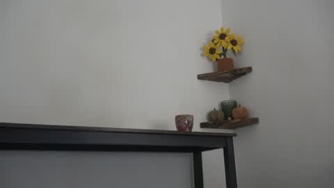 Snapshot of english_rose__ chatting on 10/11/25, 09:41 Rosie online show from 10/11/25, 09:41