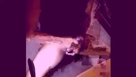 enjoylatino69 online show from 04/19/26, 12:43