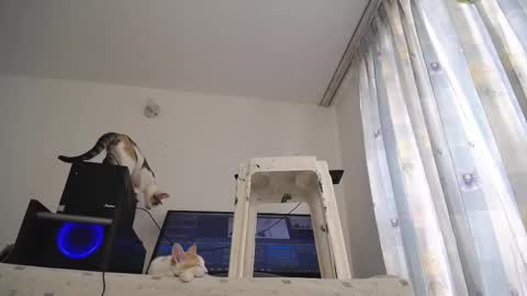 Eolicasextwo online show from 03/10/25, 03:20