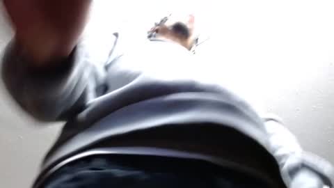 erick online show from 02/22/25, 03:01