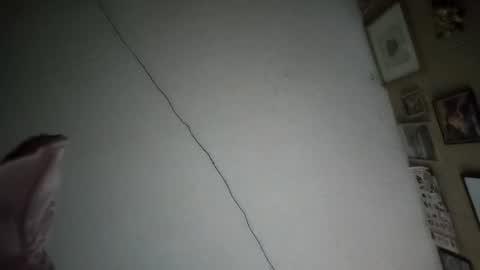 Snapshot of ernestomaravilla141 chatting on 02/17/26, 07:49 Ernesto online show from 02/17/26, 07:49