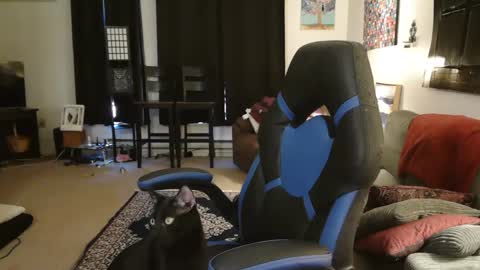 EroticSiren2 online show from 02/05/25, 09:18