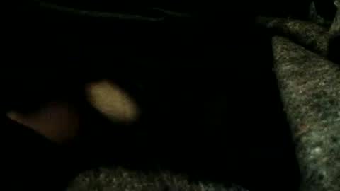 estelarseiya online show from 01/04/25, 03:18