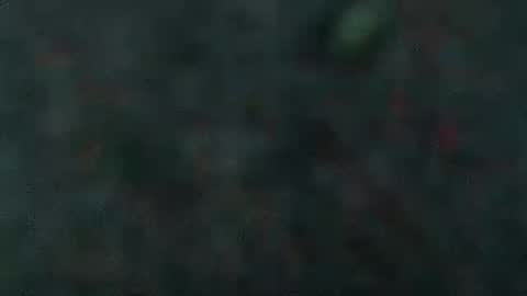 estelarseiya online show from 02/05/25, 07:07