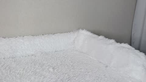 eva varnerr online show from 02/03/25, 01:19