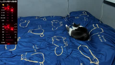 Eva online show from 01/12/25, 01:58