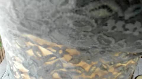 Eva online show from 04/15/26, 02:24