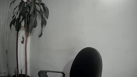 Snapshot of evacollins12 chatting on 12/09/24, 01:40 evacollins12 online show from 12/09/24, 01:40