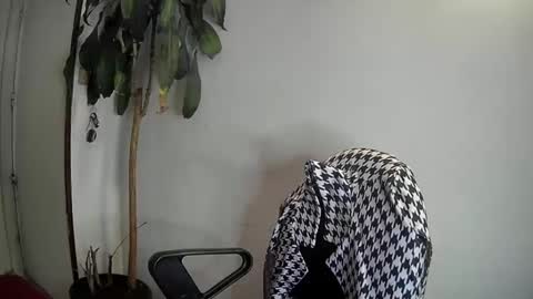 Snapshot of evacollins12 chatting on 01/07/25, 03:46 evacollins12 online show from 01/07/25, 03:46