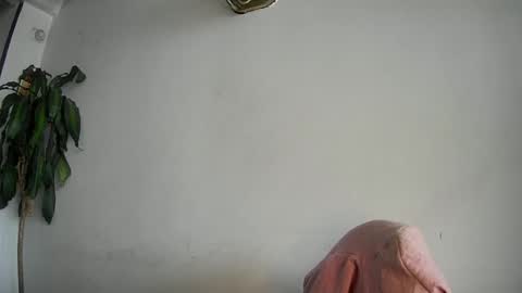 Snapshot of evacollins12 chatting on 02/15/25, 07:50 evacollins12 online show from 02/15/25, 07:50