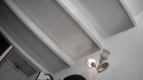 Snapshot of evacollins12 chatting on 02/25/25, 12:36 evacollins12 online show from 02/25/25, 12:36