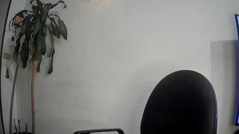 Snapshot of evacollins12 chatting on 03/12/25, 02:41 evacollins12 online show from 03/12/25, 02:41