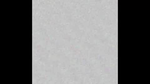 Eva online show from 01/29/25, 12:02