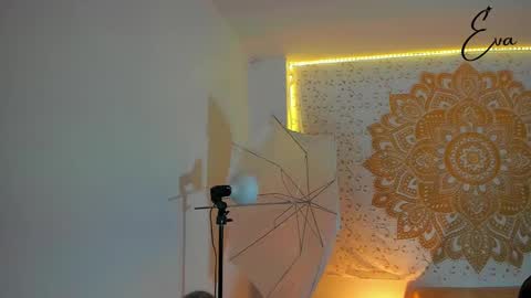 Snapshot of evarmirezz chatting on 12/31/24, 01:47 Eva Rmirezz online show from 12/31/24, 01:47