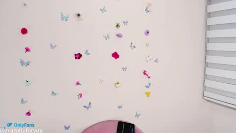 Snapshot of evarotic chatting on 11/04/25, 11:15 Eva online show from 11/04/25, 11:15