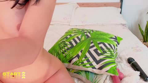 Snapshot of evelyn_chelle chatting on 12/24/24, 02:54 Im Eve or Chelle Next Stream 191224 online show from 12/24/24, 02:54