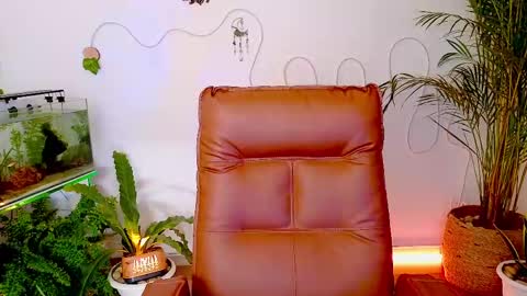 Im Eve or Chelle Next Stream 191224  online show from 05/01/26, 11:42