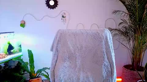 Im Eve or Chelle Next Stream 191224  online show from 05/02/26, 04:56