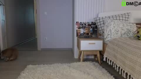 Snapshot of evi_woow chatting on 02/22/25, 05:13 evi_woow online show from 02/22/25, 05:13