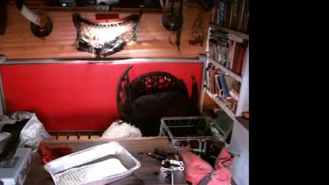 EvPierce online show from 04/11/26, 07:13