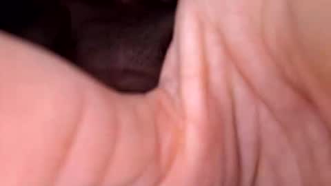 Exhibboytoy3 online show from 03/24/26, 07:24