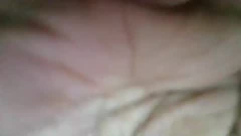 exoticapril01 online show from 04/09/26, 06:46