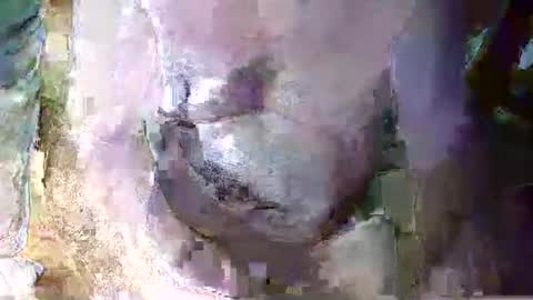 Snapshot of expogent chatting on 04/10/26, 07:24 expogent online show from 04/10/26, 07:24