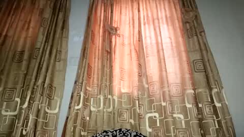 Nina online show from 04/11/26, 07:45