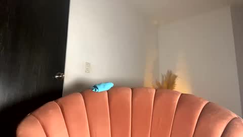 Thianna online show from 11/15/25, 12:13