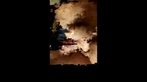 facsavar online show from 02/01/25, 01:55