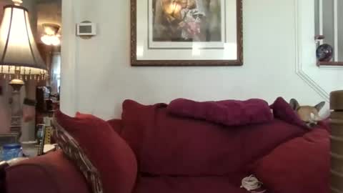 fairmount31 online show from 10/21/25, 01:56