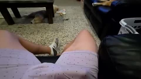 Snapshot of faker1414 chatting on 02/02/26, 02:10 faker1414 online show from 02/02/26, 02:10