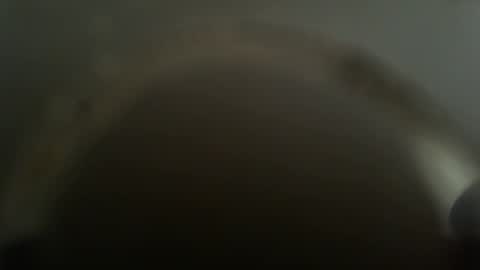 falushp online show from 02/26/25, 11:52