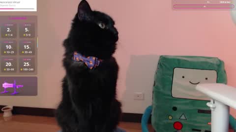 Snapshot of fantasma_gei chatting on 10/25/25, 01:13 Fantasma. online show from 10/25/25, 01:13