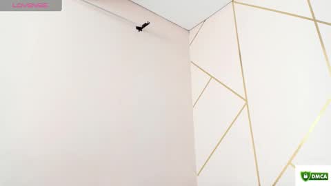 Snapshot of fantasy_33 chatting on 01/22/25, 09:10 fantasy online show from 01/22/25, 09:10