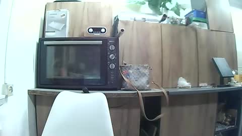 hausewife online show from 05/06/26, 07:41