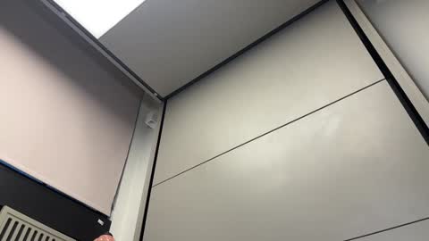 Gattino online show from 12/03/24, 08:16