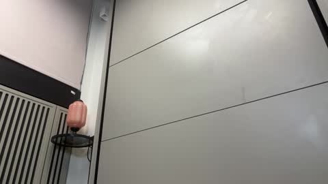 Gattino online show from 12/13/24, 12:06