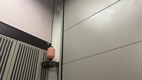 Gattino online show from 12/20/24, 11:37