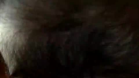 FastStr0ker10 online show from 12/21/25, 09:11