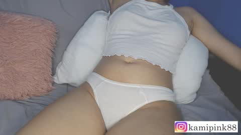 Snapshot of favicam chatting on 12/13/24, 12:42 kamipink88 online show from 12/13/24, 12:42