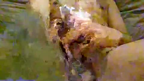 FeaturedCam online show from 06/02/26, 10:01