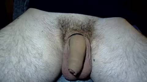 fekadam online show from 04/19/26, 08:11