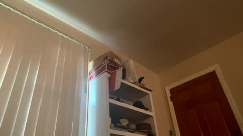 felicitybliss29 online show from 12/03/24, 08:50