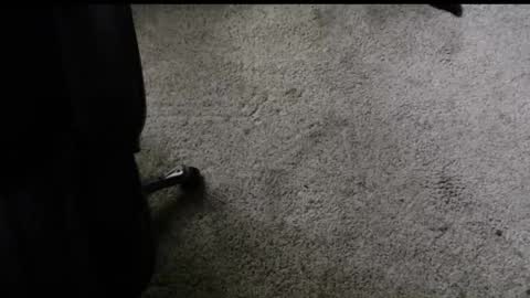 fengshui1982 online show from 11/29/25, 06:22