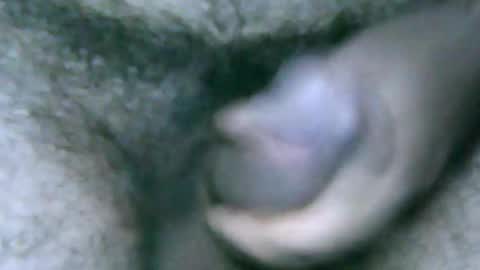 Snapshot of fer_2197 chatting on 12/28/24, 01:17 fer_2197 online show from 12/28/24, 01:17