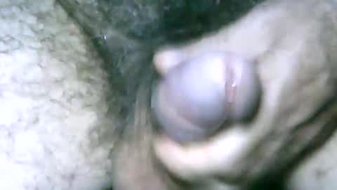 Snapshot of fer_2197 chatting on 01/01/25, 04:29 fer_2197 online show from 01/01/25, 04:29